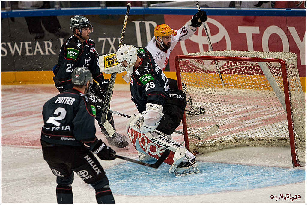 Koelner Haie - Pinguins Bremerhaven, 25.10.2016